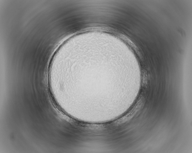 X0000114670836200911121331