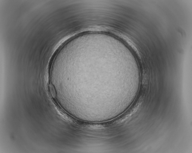 X0000114670837200911121331