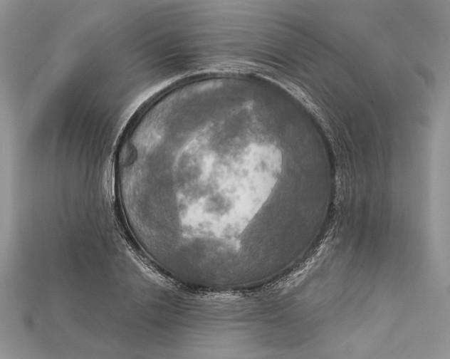 X0000114670838200911121331