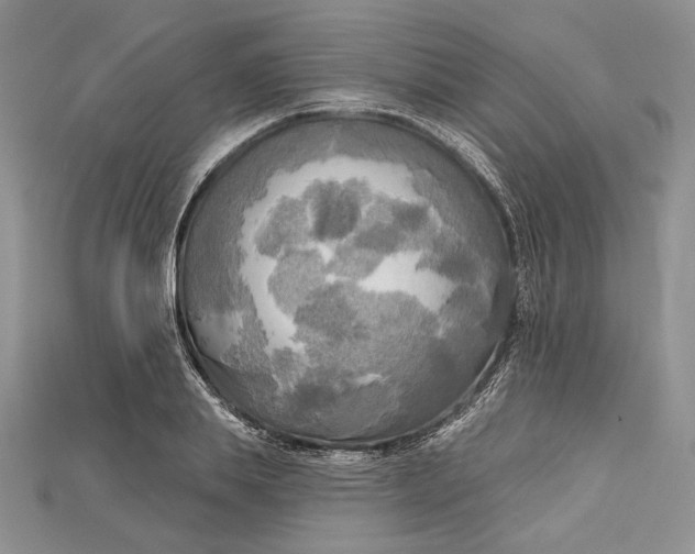 X0000114670839200911121331