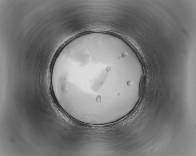 X0000114670840200911121331