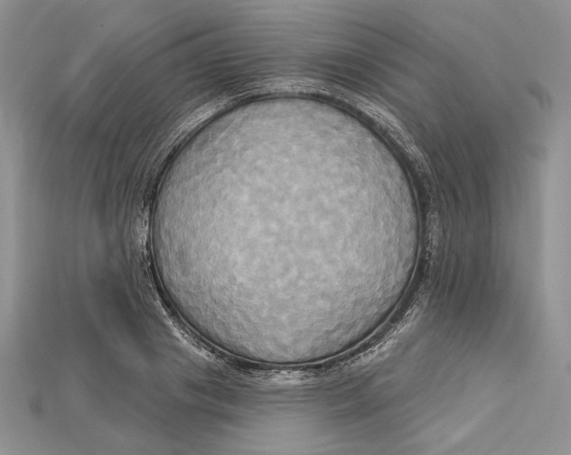 X0000114670841200911121331