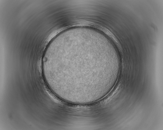 X0000114670842200911121331