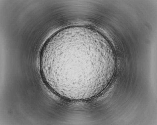 X0000114670843200911121331