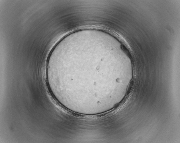 X0000114670844200911121331