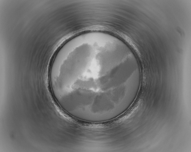 X0000114670845200911121331