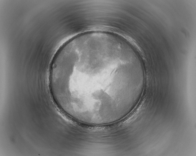 X0000114670846200911121331