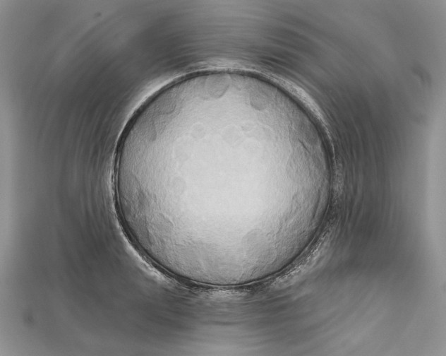 X0000114670847200911121331