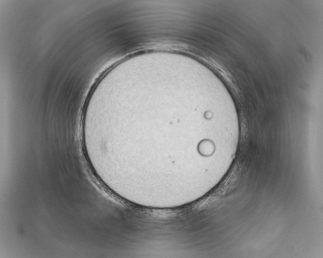 X0000114670848200911121331