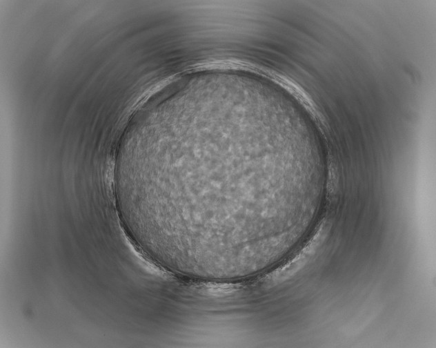 X0000114670849200911121331