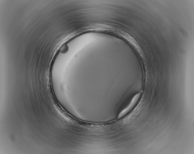 X0000114670850200911121331