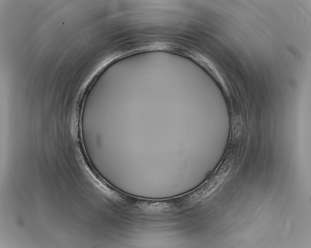 X0000114670851200911121331