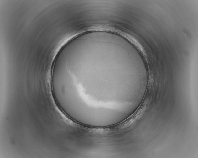 X0000114670855200911121331