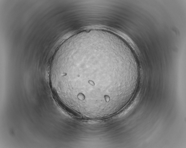 X0000114670857200911121331