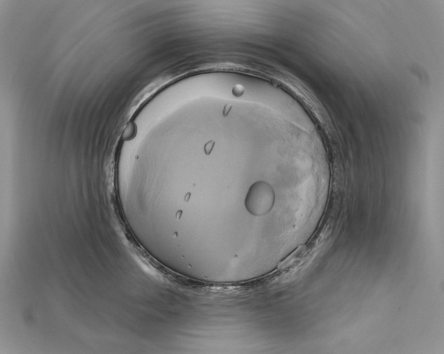 X0000114670858200911121331