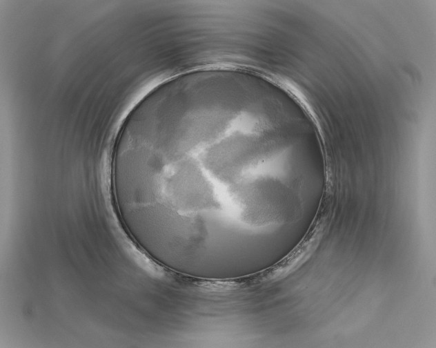 X0000114670859200911121331