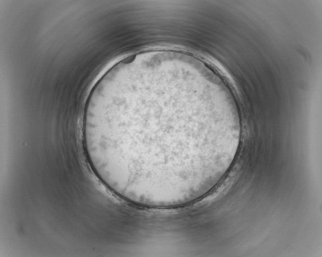 X0000114670860200911121331