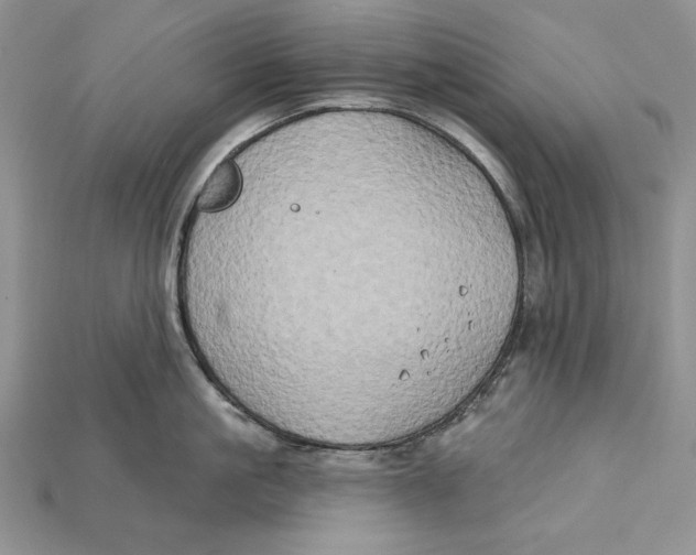 X0000114670861200911121331