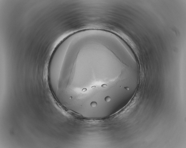 X0000114670862200911121331