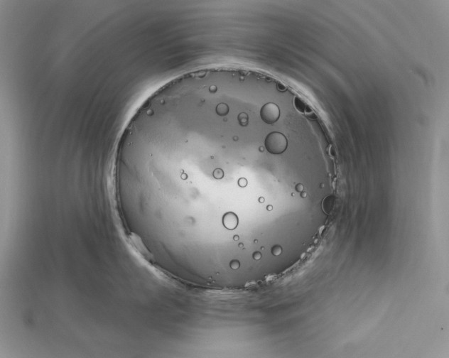 X0000114670863200911121331