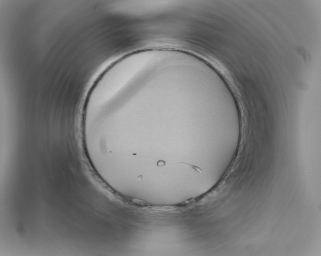 X0000114670864200911121331