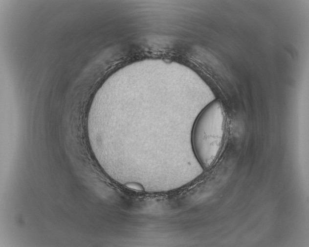 X0000114670865200911121331