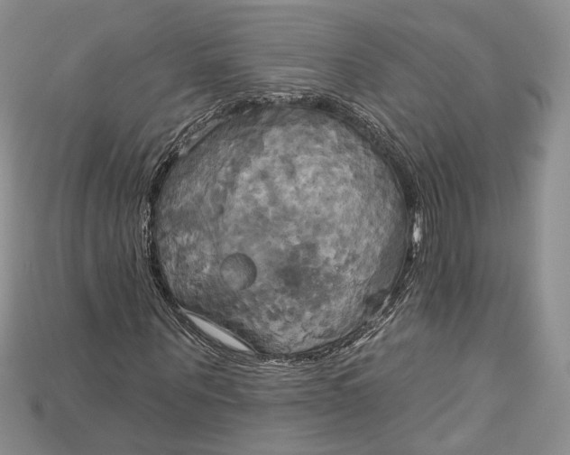 X0000114670867200911121331