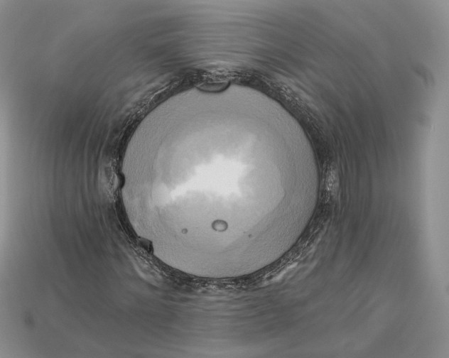 X0000114670868200911121331