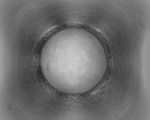 X0000114670870200911121331