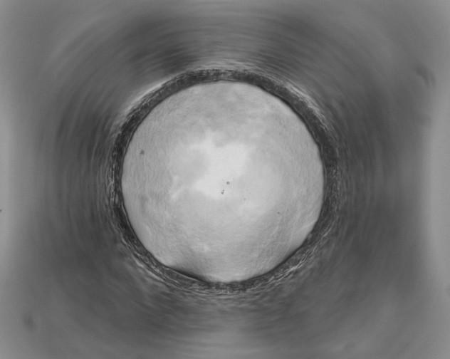 X0000114670872200911121331