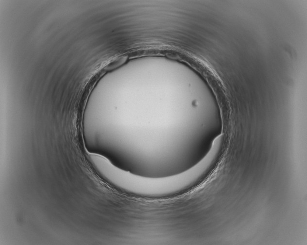 X0000114670873200911121331