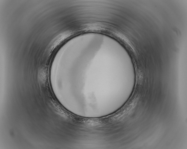 X0000114670874200911121331