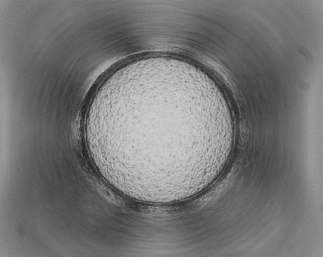 X0000114670875200911121331