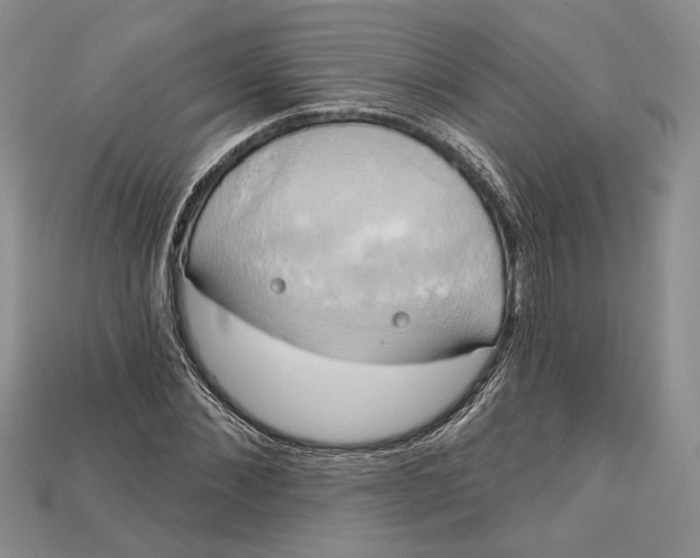 X0000114670876200911121331