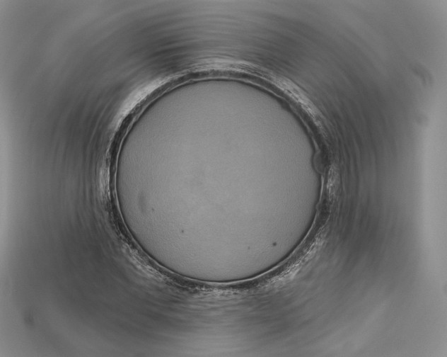 X0000114670877200911121331