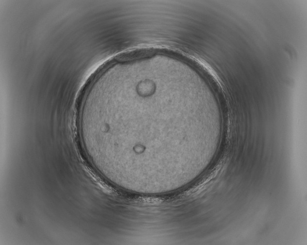 X0000114670878200911121331