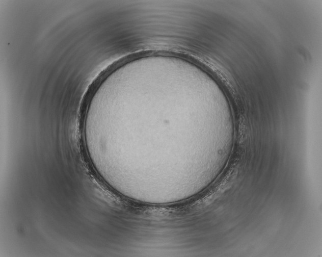 X0000114670880200911121331