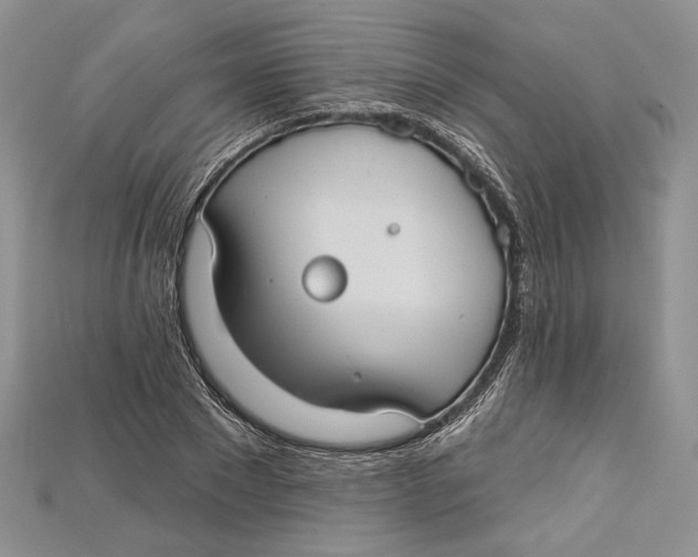 X0000114670881200911121331