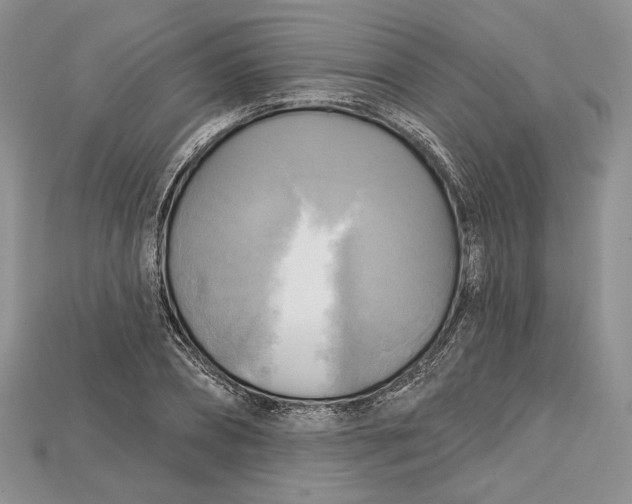 X0000114670882200911121331