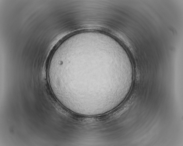 X0000114670883200911121330