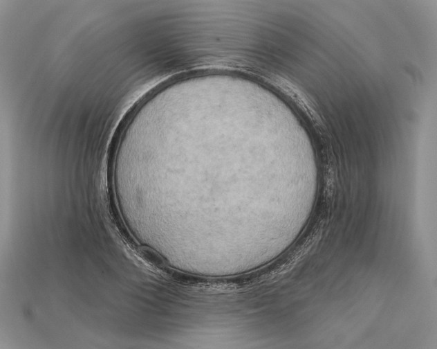 X0000114670884200911121330