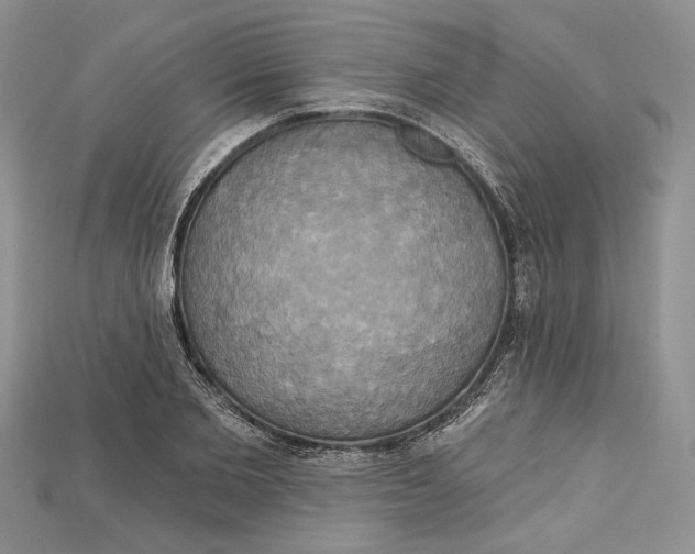 X0000114670885200911121330