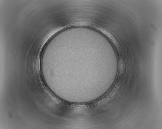 X0000114670886200911121330