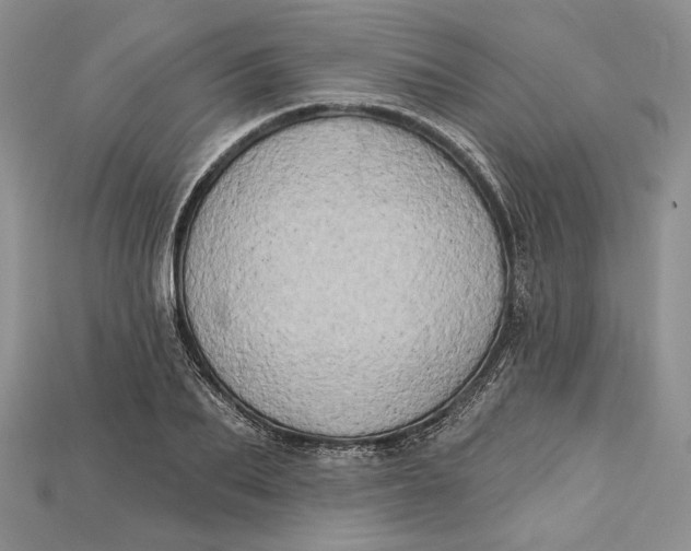 X0000114670887200911121330