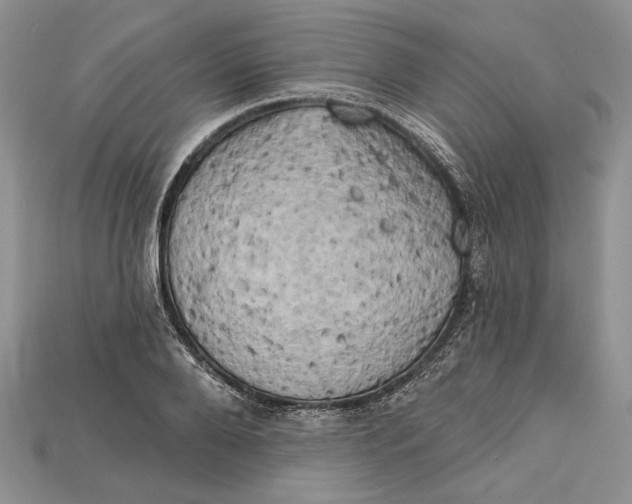 X0000114670888200911121330