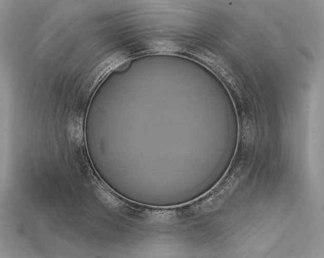 X0000114670889200911121330