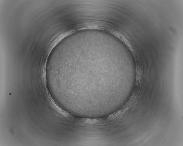 X0000114670890200911121330