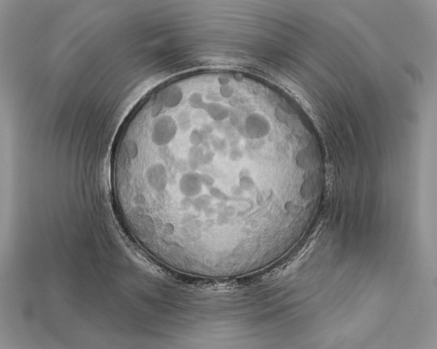 X0000114670891200911121330