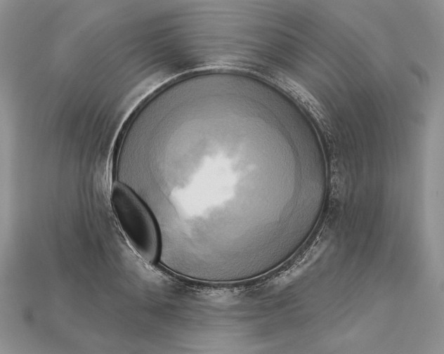 X0000114670892200911121330