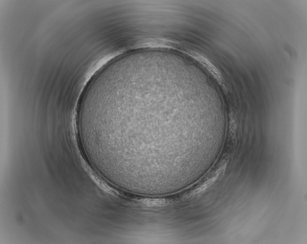 X0000114670893200911121330